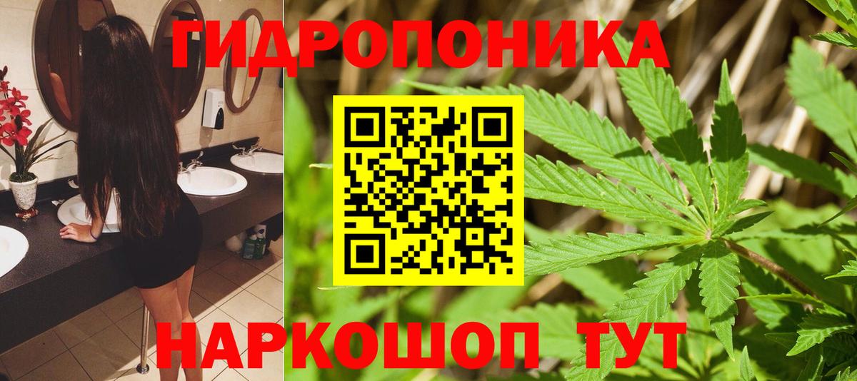 Канабис Ganja  МАРИХУАНА Bruce Banner  Партизанск  Вход с VPN  Шишки марихуана гибрид 